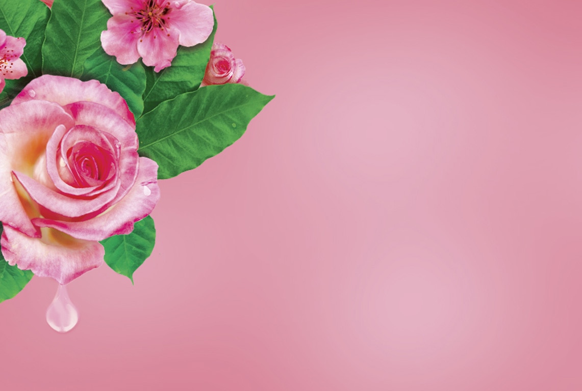 cerezo y rosa cerezo y rosa